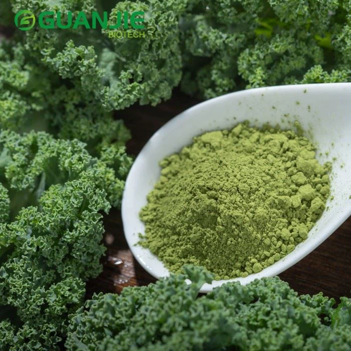 Bulk Kale Leaf Powder