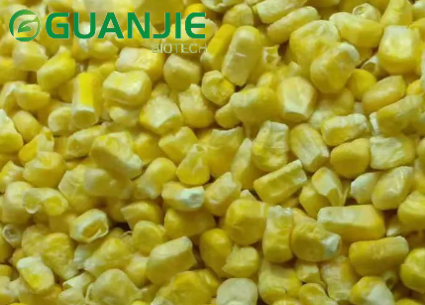freeze dried sweet corn freeze dried sweet corn
