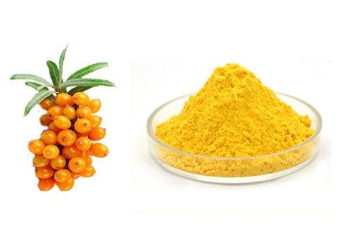 Sea Buckthorn Fruit Powder Sea Buckthorn Fruit Powder
